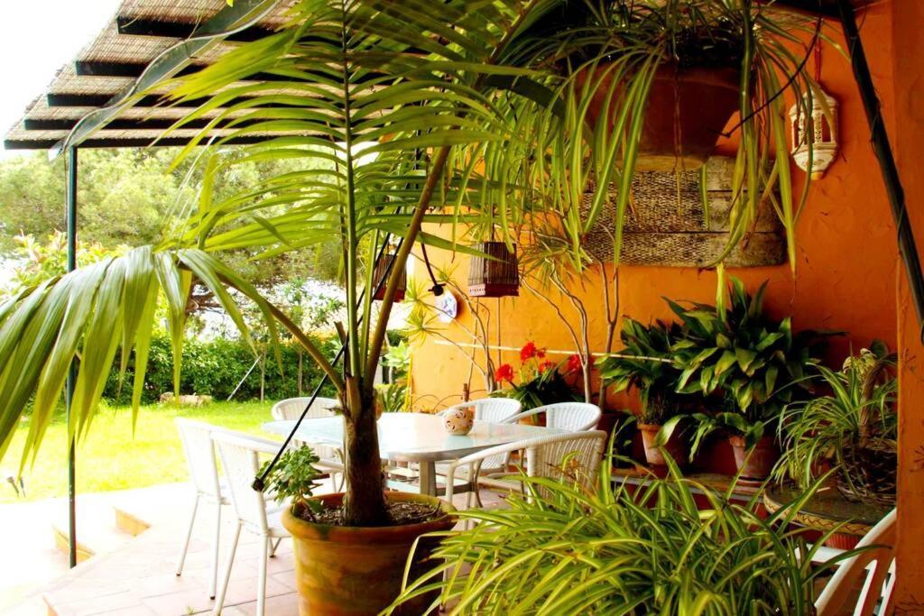 Villa Torrenueva Málaga Eksteriør billede