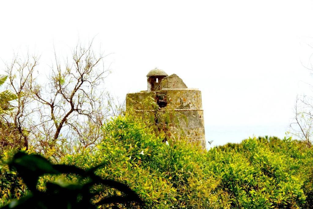 Villa Torrenueva Málaga Eksteriør billede